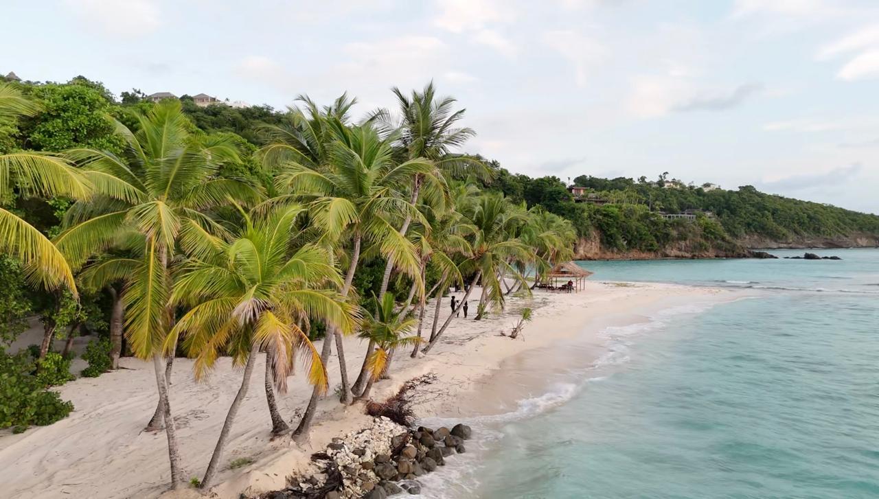 Palm-lined beach on Mustique at golden hour